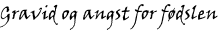 GravidOgAngstForFodslen